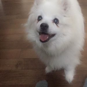 Meet your Posher, Hailey